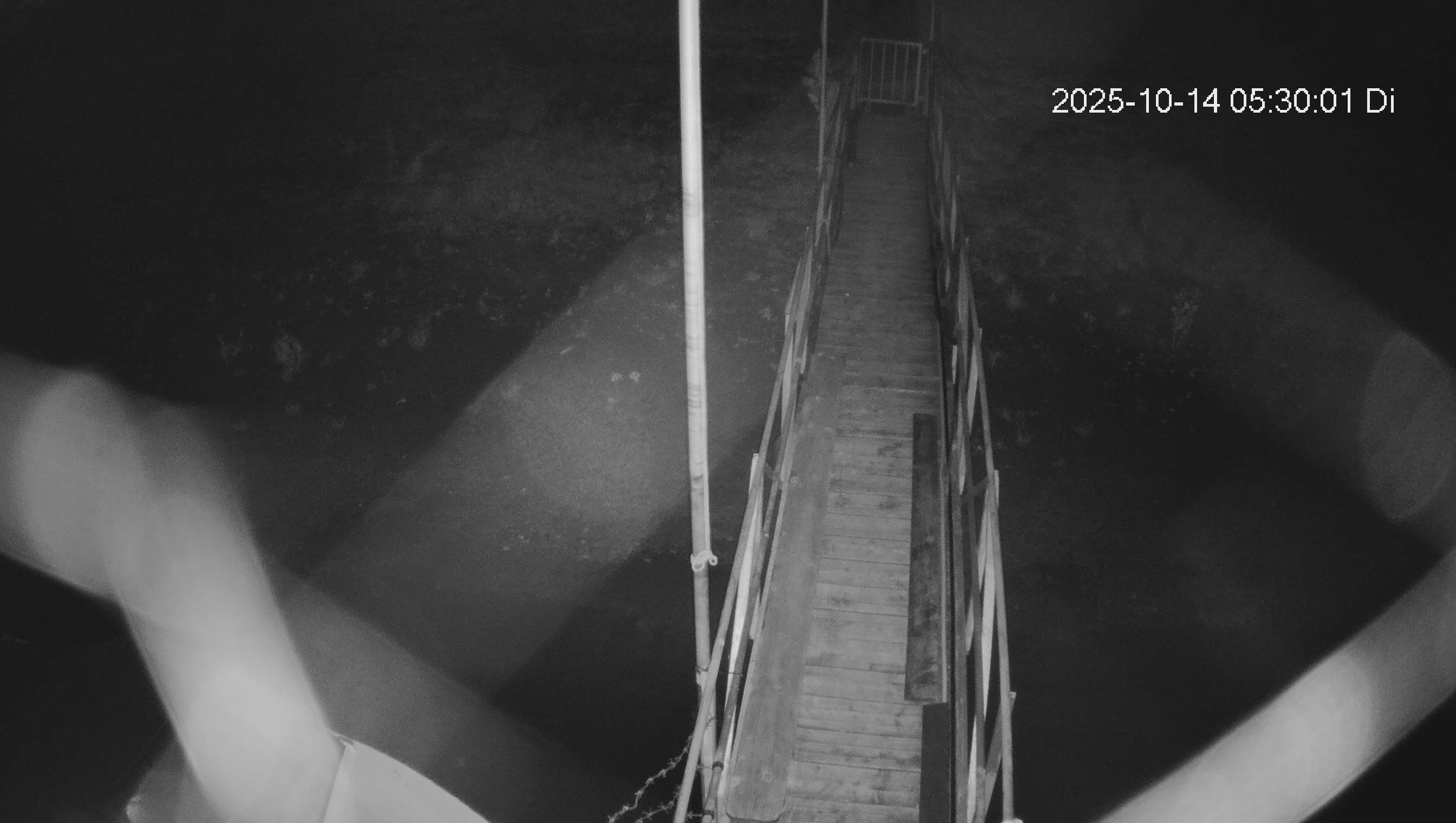 Webcam img missing